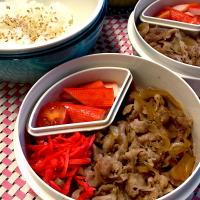 娘たちのJK弁当〜　ぎゅうどん
